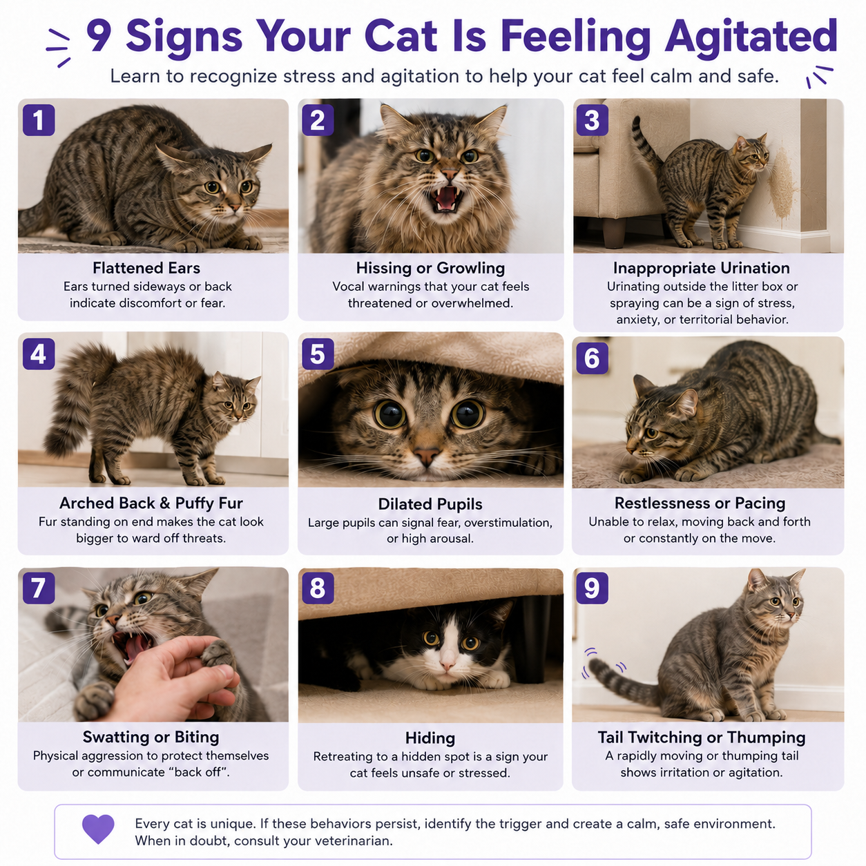 Auriviemed™ - Help your cat calm down and feel safe and comfortable. Premium cat aromatherapy diffuser.